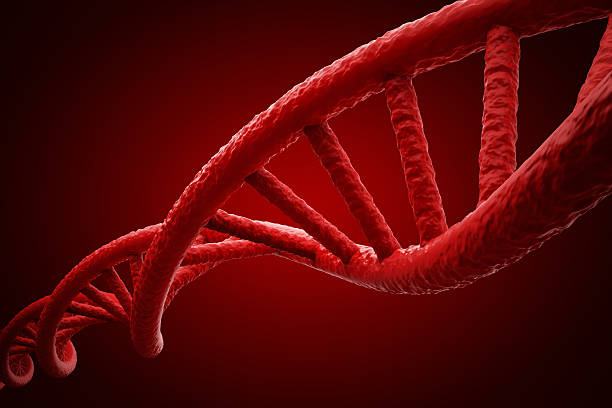 Gene Vantage DNA and RNA extraction products