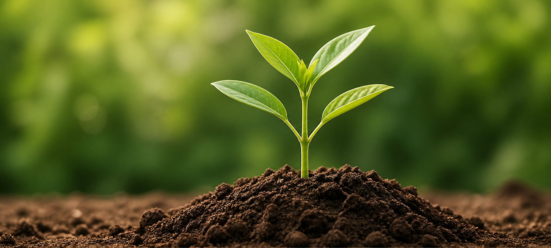 Plant and soil sample extraction kits